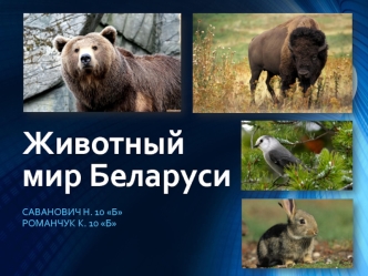 Животный мир Беларуси