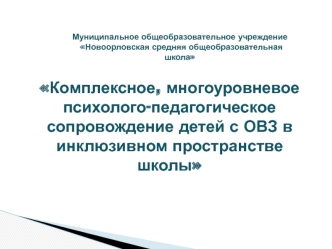 Комплексное, многоуровневое  психолого-педагогическое сопровождение детей с ОВЗ в инклюзивном пространстве школы