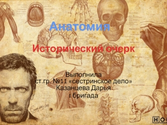 Анатомия. Исторический очерк