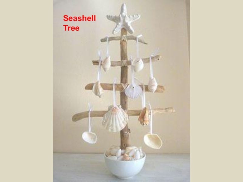 Seashell Tree