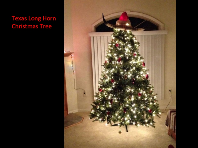 Texas Long Horn Christmas Tree