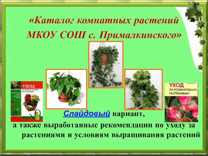 «Каталог комнатных растений  МКОУ СОШ с. Прималкинского»  Слайдовый вариант,