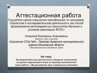 Аттестационная работа. Исследовательская деятельность младших школьников. Выращивание лука в домашних условиях