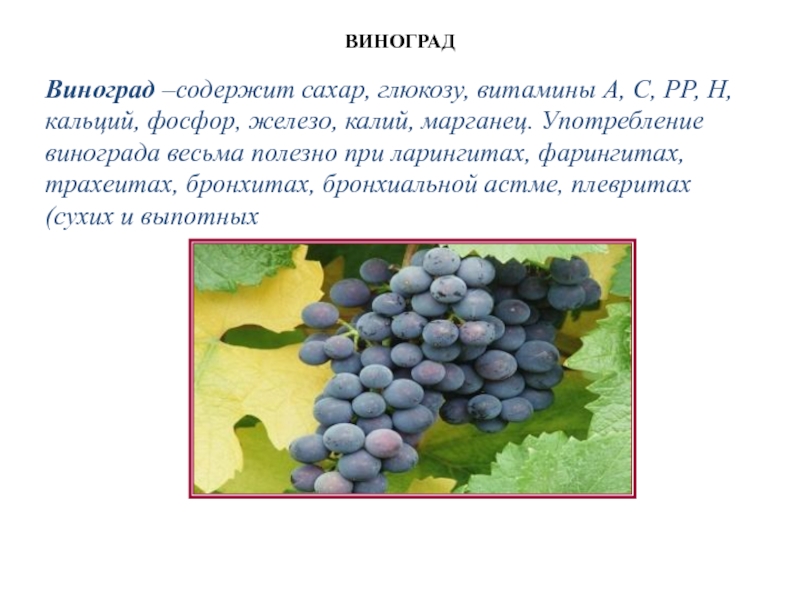 Что дает виноград. Витамины в винограде. Витамины содержащиеся в винограде. Виноград полезное витамины. Какой витамин содержится в винограде.