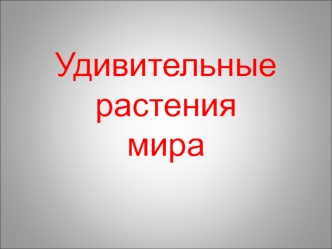 Удивительные растения мира