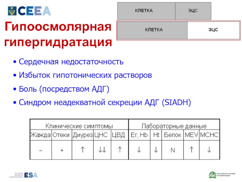 Неадекватной секреции адг