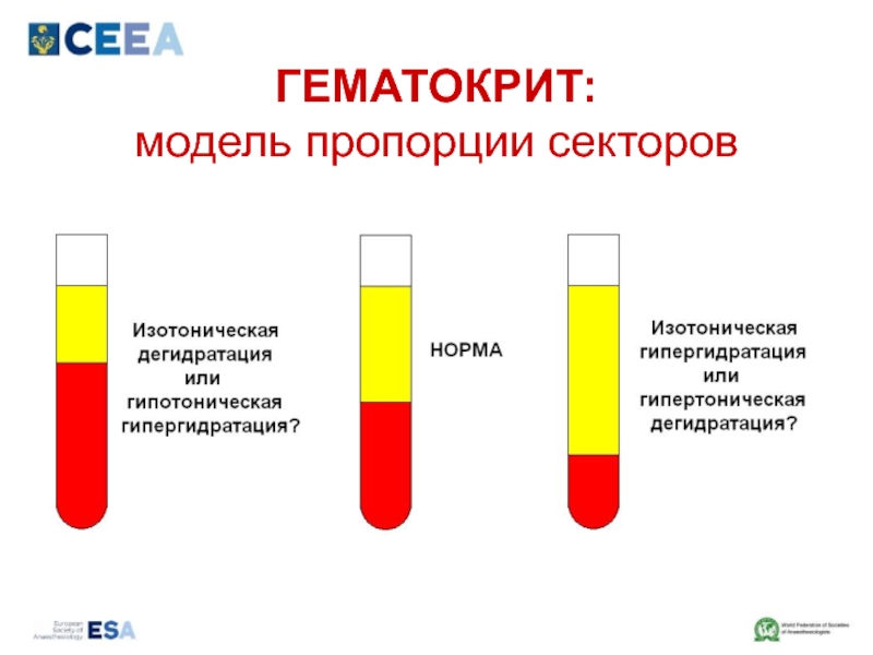 Гематокрит что это значит. HT гематокрит норма. Гематокрит 41.4. Гематокрит 34,9. Гематокрит крови 0.4.