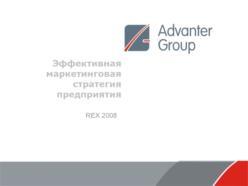 Эффективная маркетинговая стратегия предприятияREX 2008