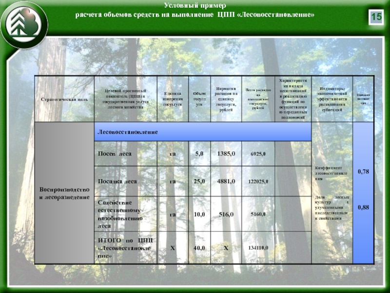 Правила лесовосстановления 1024