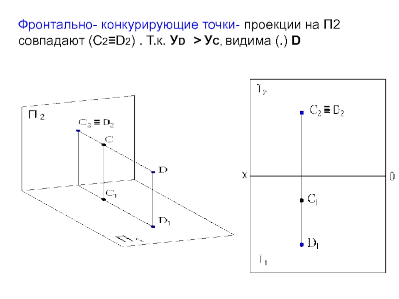 Проекция точка линия