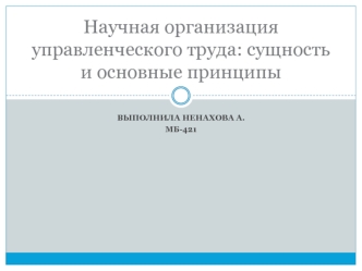 Научная организация управленческого труда: сущность и основные принципы