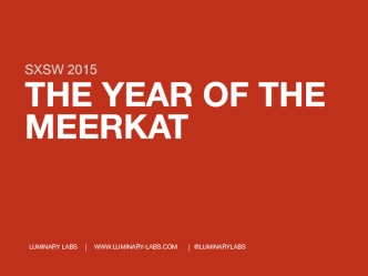 The year of the meerkat