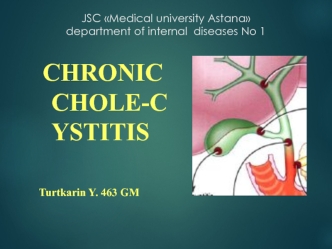 Chronic cholecystitis