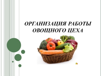 Организация работы овощного цеха