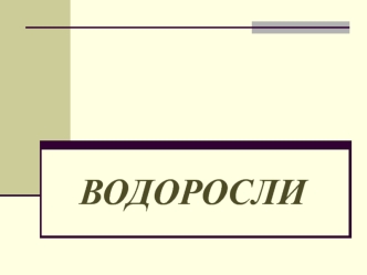 Отдел цианобактерии или сине-зеленые водоросли