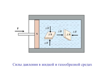 Силы давления в жидкой и газообразной средах