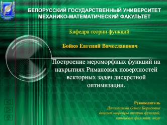 Построение мероморфных функций на накрытиях Римановых поверхностей векторных задач дискретной оптимизации.