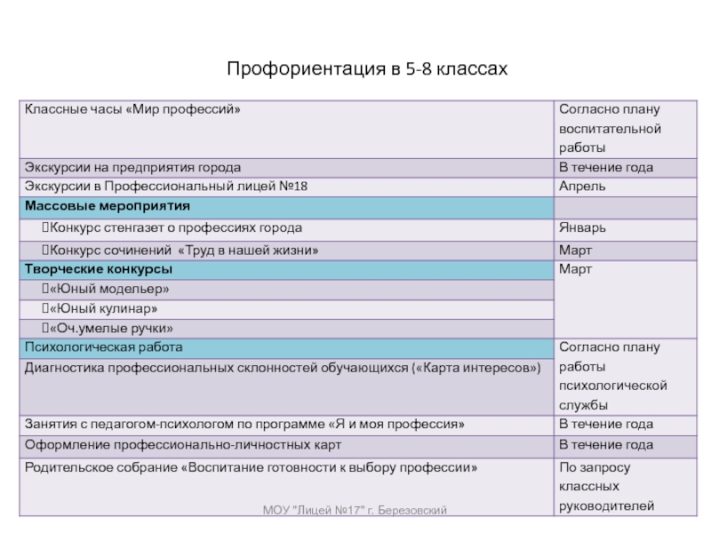 Профессиональный план 8 класс