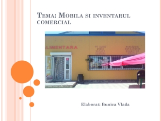 Mobila si inventarul comercial