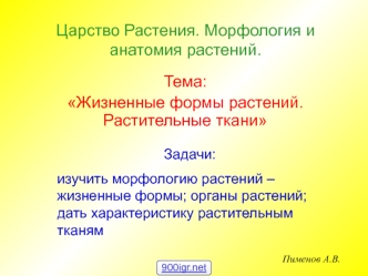 Жизненные формы растений. Растительные ткани