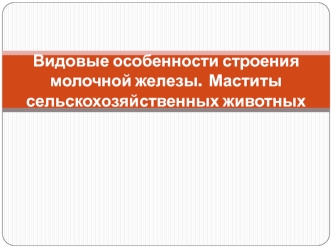 Видовые особенности строения молочной железы.  Маститы  сельскохозяйственных животных