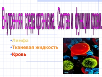 Внутренняя среда организма. Состав и функции крови