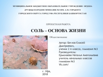 Соль – основа жизни