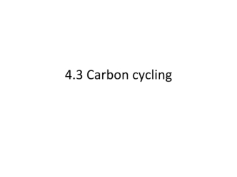 Carbon cycling