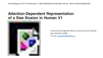 Attention - Dependent Representation of a Size Illusion in Human V1