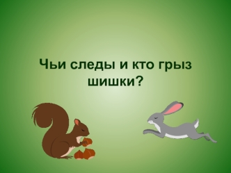 Чьи следы и кто грыз шишки?