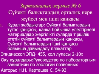 Сүйекті балықтардың орталық нерв жүйесі мен ішкі қанқасы