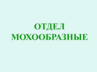 Отдел мохообразные