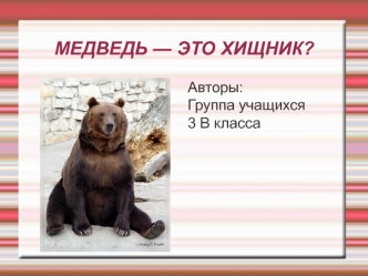 МЕДВЕДЬ — ЭТО ХИЩНИК?