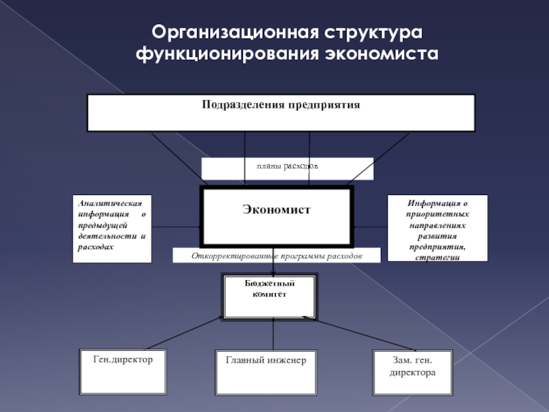 Организационная структура функционирования экономиста