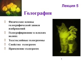 Голография
	
Физические основы голографической записи изображений 
Голографирование в плоских волнах
Толстослойные голограммы
Свойства  голограмм
Применение голограмм