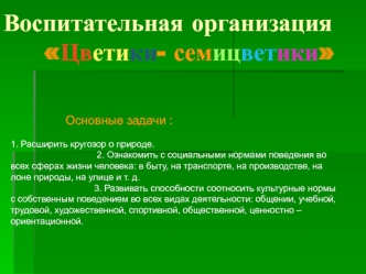 Воспитательная организация      Цветики- семицветики