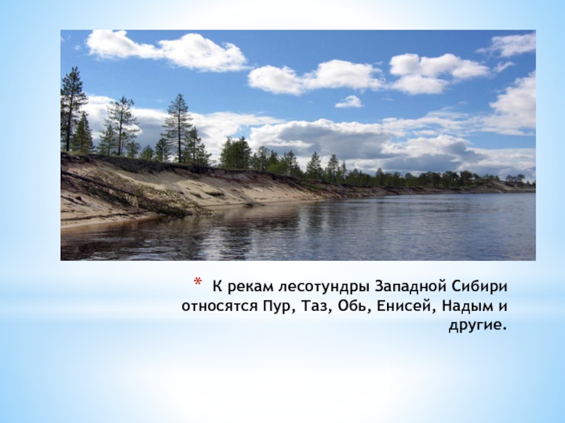 Крупнейшей рекой западной сибири является. Реки Западной Сибири. Река Обь в Западной Сибири. Реки лесотундры. Лесотундра Западной Сибири.