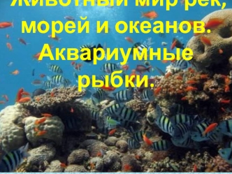 Животный мир рек, морей и океанов. Рыбы