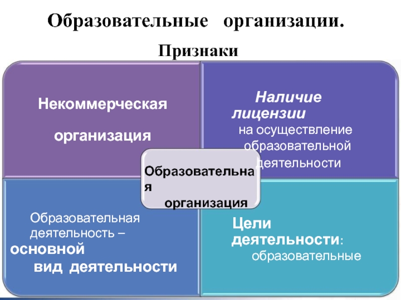 Образование и образовательная деятельность кратко