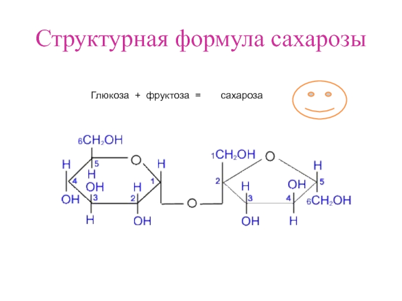 Фруктоза синтез. Циклическое строение сахарозы. Углеводы строение сахарозы. Углеводы Глюкозы олигосахариды сахароза. Глюкоза фруктоза сахароза формулы.