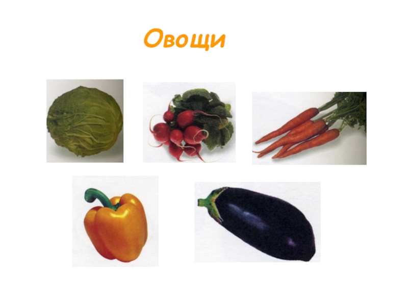 Овощи 6