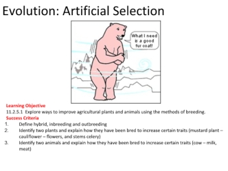 Evolution: Artificial Selection