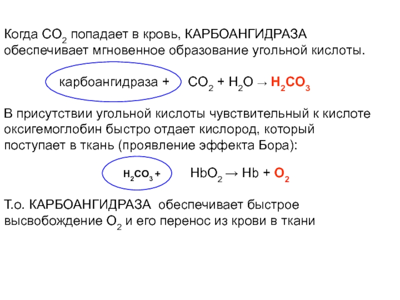 Co2 скорость реакции