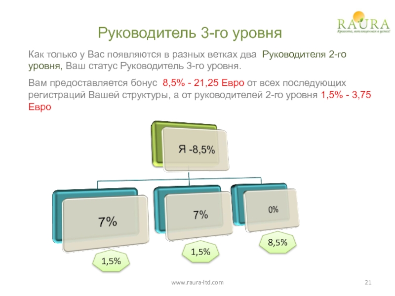 22 уровня. Руководитель 2-го уровня. Каталог 3-го уровня:. Уровень руководителя n-1. Руководящая пятерка состав.