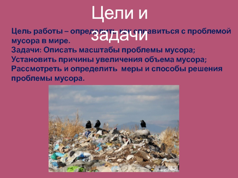 Как решить проблему с мусором. Решение проблемы с мусором в мире.