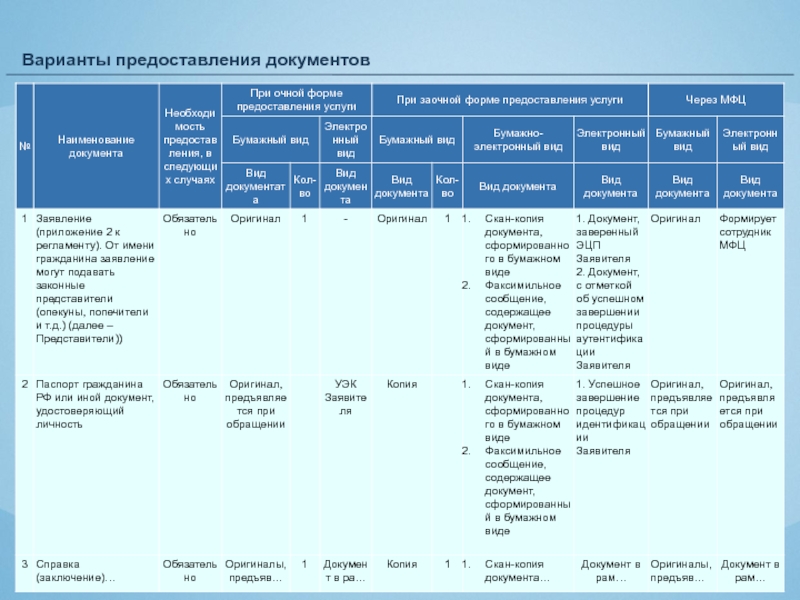 Формы предоставления документации. Вариант предоставления услуги № 1.