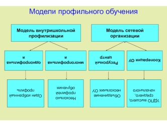 Модели профильного обучения