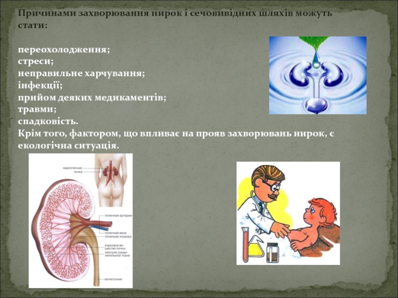 Реферат: Захворювання нирок і сечовивідних шляхів