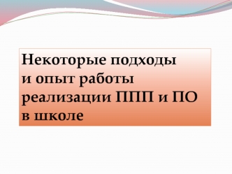 Некоторые подходы 
и опыт работы реализации ППП и ПО в школе