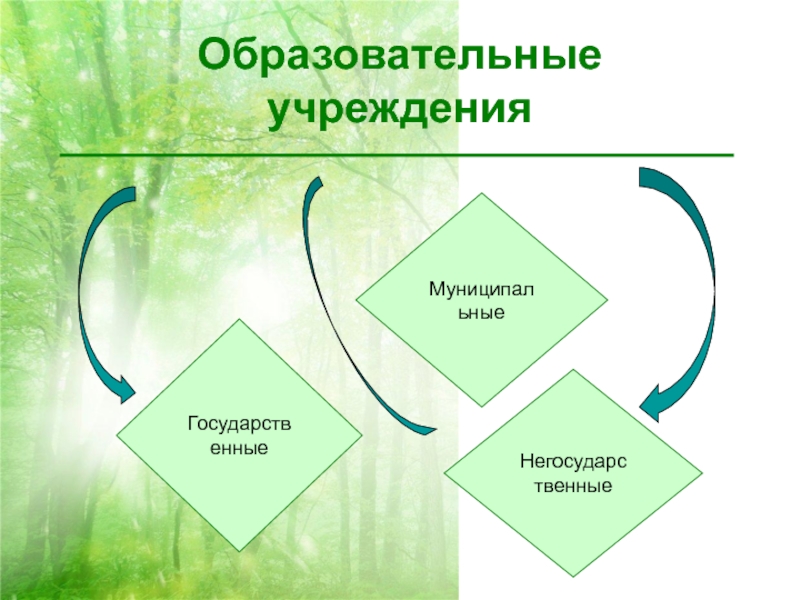 Единая содержание нового образования. Негосударственное образовательное учреждение. Государственные и негосударственные образовательные учреждения. Единое содержание образования. Сравните государственные и негосударственные ОУ.